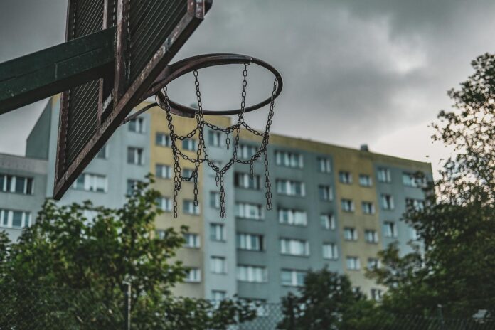Zalety domowej hodowli ziół