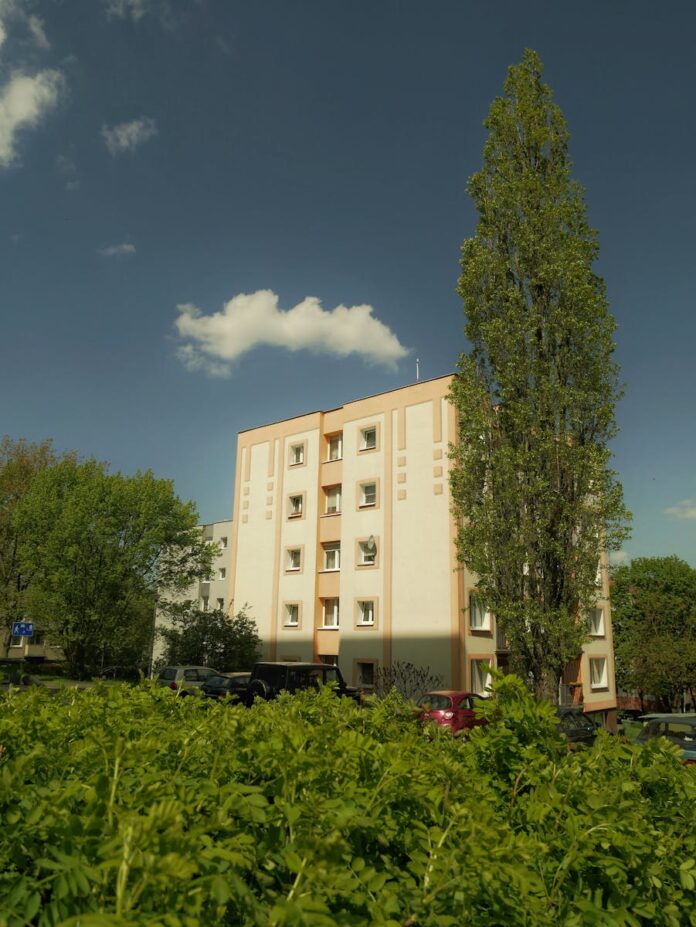 Jakie narzędzia są niezbędne w każdym warsztacie rzemieślniczym?